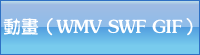 wmv swf gifʽ
